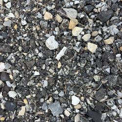 SERVPRO of Gaithersburg / Germantown - Cigarette butt