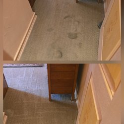 Spot Off Carpet Cleaning - Dog urine removal in Ironwood Country Club in Palm Desert, CA