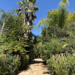 Halls Plant Nursery