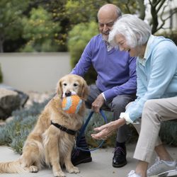 MonteCedro - Enjoy the grounds of our beautiful, pet-friendly community.