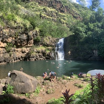The Surf Bus - Waterfall - Tours Near Me - Honolulu, Hawaii