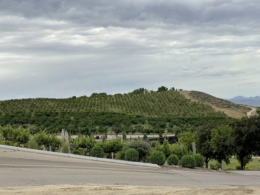 Ste. Chapelle Winery & Tasting Room by null