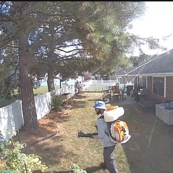 Eco Pest Control - Worker blowing product to his left, but he never turned to his right to cover the rest of the yard. - Pest Control Near Me - Glen Allen, Virginia Eco Pest Control - Worker blowing product to his left, but he never turned to his right to cover the rest of the yard. - Pest Control Near Me - Glen Allen, Virginia