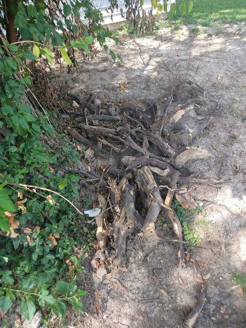 Slide of All American Pumping & Drain