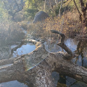 Cibbets Flat Campground - More creeeeek - Hiking Near Me - Pine Valley, California Cibbets Flat Campground - More creeeeek - Hiking Near Me - Pine Valley, California