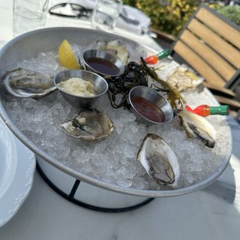 The Choptank - Raw Oysters - Seafood Near Me - Annapolis, Maryland