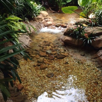 Discovery Cove - Amusement Parks Near Me - Orlando, Florida