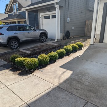Salinas Landscape - Landscaping Near Me