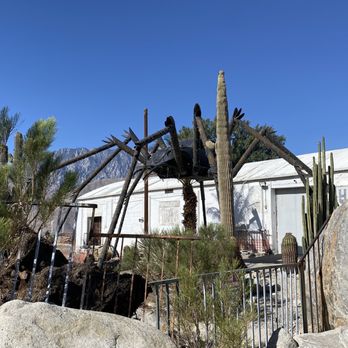 Hole in the Wall - Spider bug - Local Flavor Near Me - Palm Springs, California Hole in the Wall - Spider bug - Local Flavor Near Me - Palm Springs, California