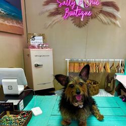 Salty & Chic Boutique