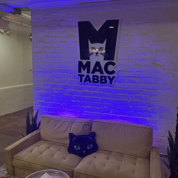 Mac Tabby Cat Cafe - Coffee & Tea Near Me - Concord, North Carolina Mac Tabby Cat Cafe - Coffee & Tea Near Me - Concord, North Carolina