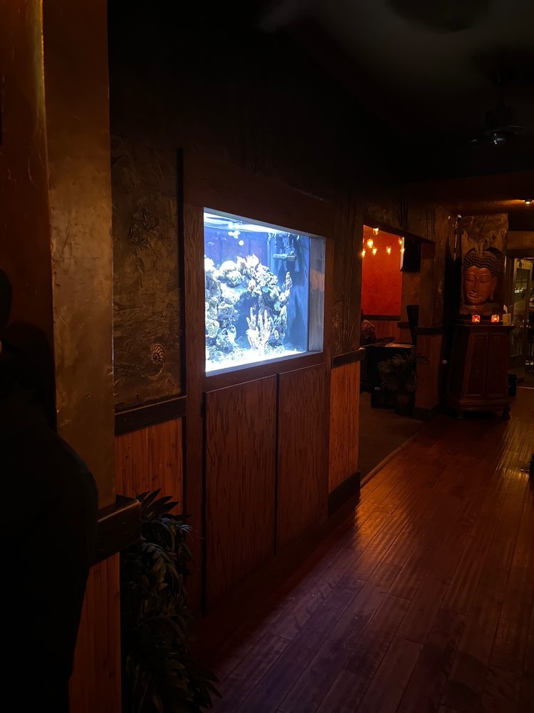 Sophia's Thai Bar & Kitchen