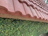 Slide of Epic Roofing Services