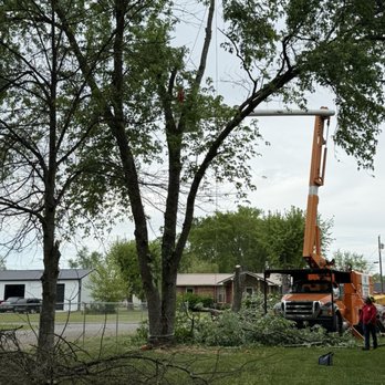 Love It Landscaping & Tree Service - Love tree service cutting a big maple tree - Landscaping Near Me - Mount Juliet, Tennessee Love It Landscaping & Tree Service - Love tree service cutting a big maple tree - Landscaping Near Me - Mount Juliet, Tennessee