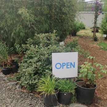 Outdoors By Design - Open sign - Landscaping Near Me - Shelton, Washington