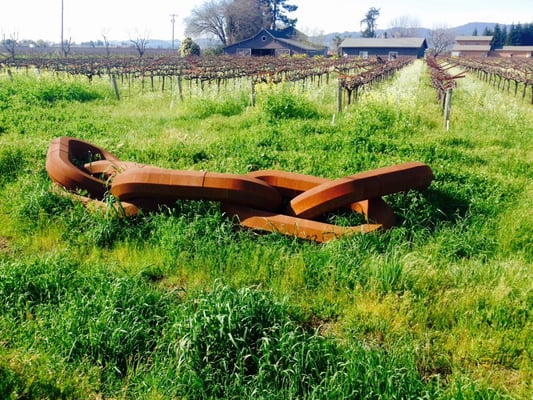 Blackbird Vineyards by null