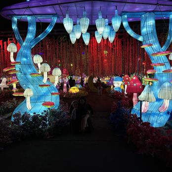 Imaginarium - Amusement Parks Near Me - Sacramento, California