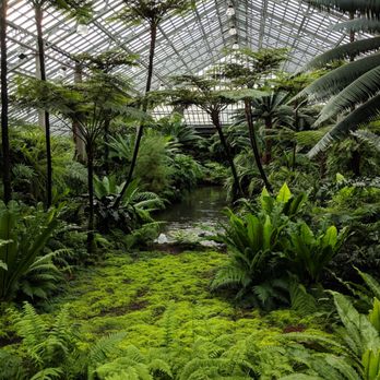 Garfield Park Conservatory - The main event - the famous Fern Room designed in 1906 by Jens Jensen. - Parks Near Me - Chicago, Illinois