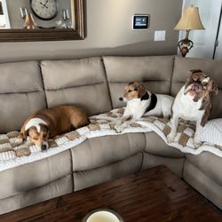 Pet Calls Wellness Clinic