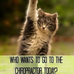 Chandler Chiropractic
