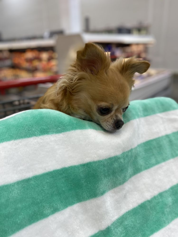 SOCIAL SECURITY Updated September 2024 12 Photos & 34 Reviews 10