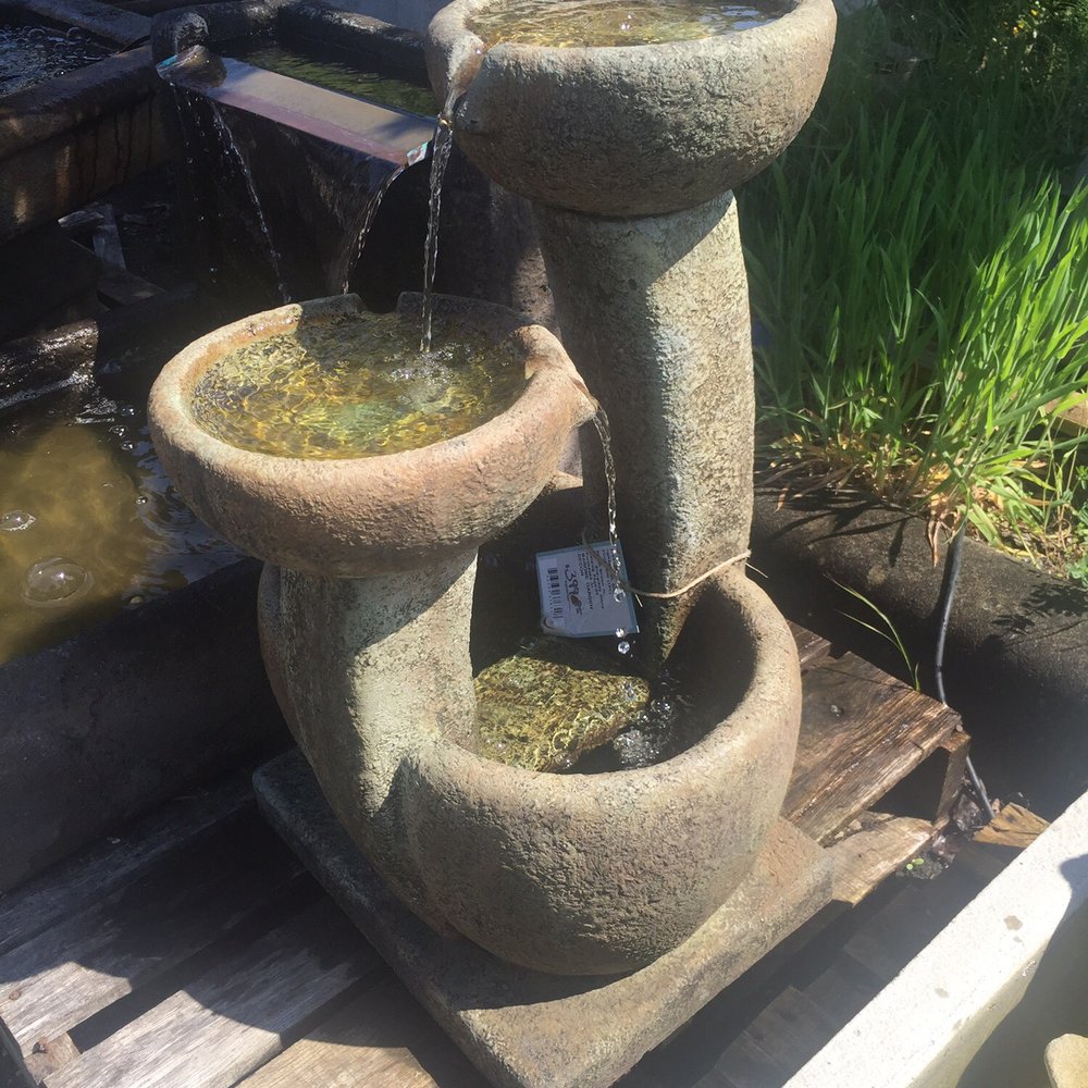 Barone Garden - Nurseries & Gardening Near Me - Renton, Washington Barone Garden - Nurseries & Gardening Near Me - Renton, Washington