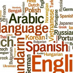 AvA Translations and Language Services