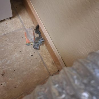 Lint Sweepers - Air Duct Cleaning Near Me - Lakeside, Arizona