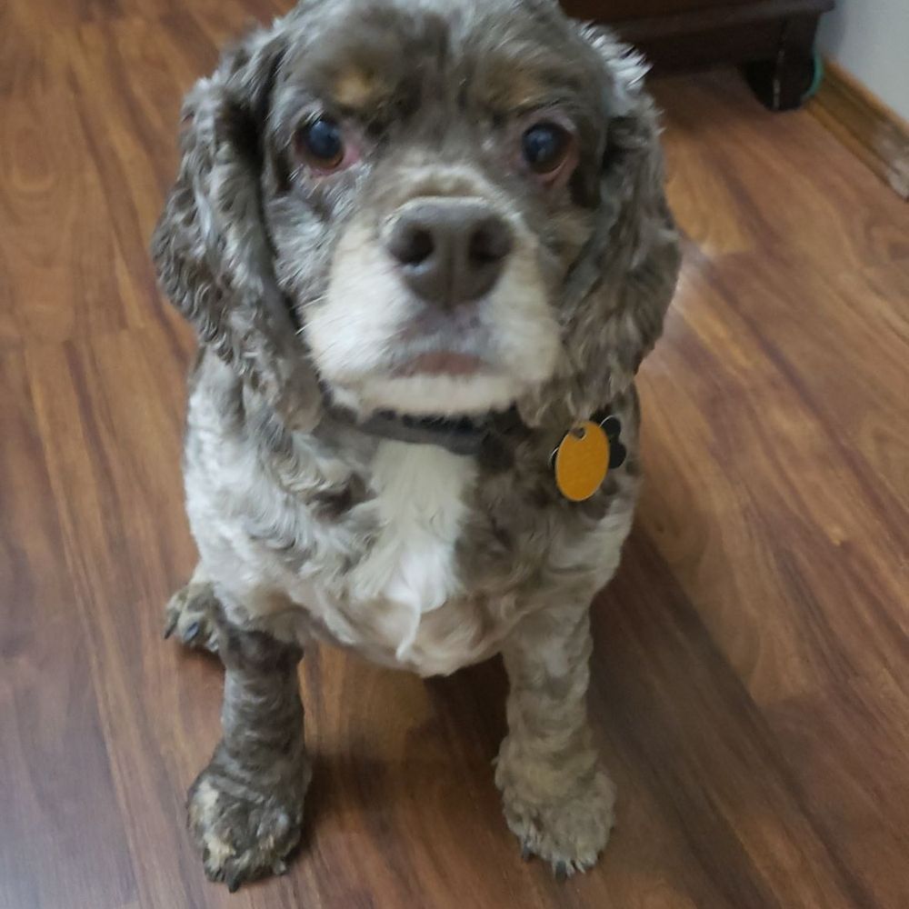 Feeling handsome!