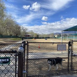 Dog park. Dog park.