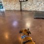 Photo of Scarbrough Animal Hospital