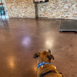 Scarbrough Animal Hospital - Waiting room