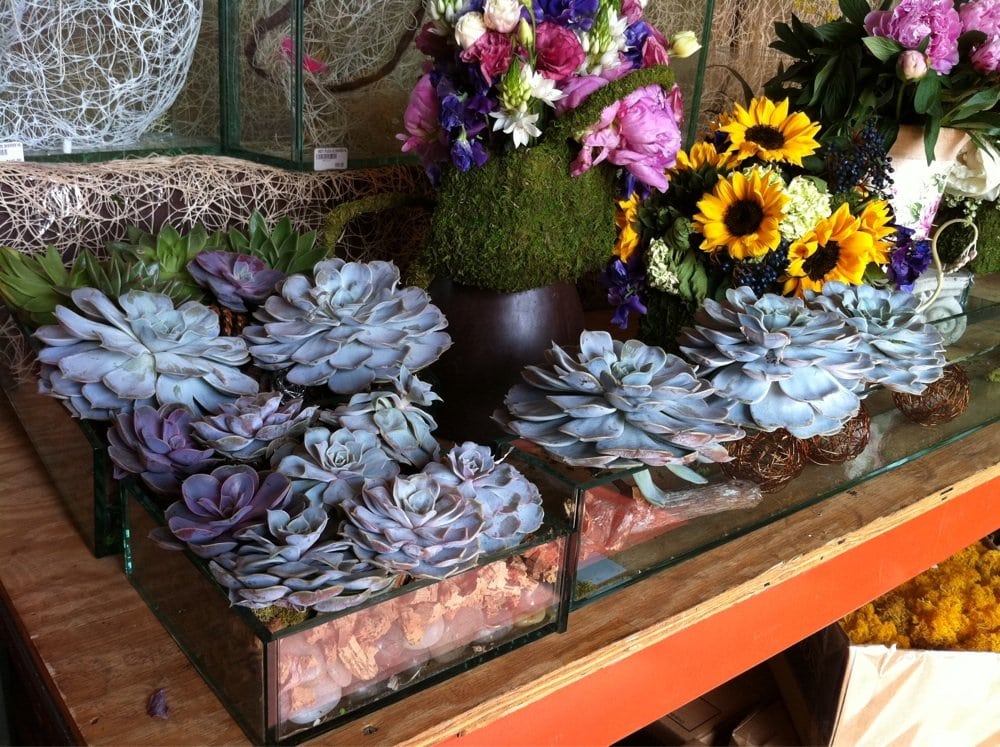 J VAN VLIET Updated August 2024 3816 Skillman Ave, Long Island City