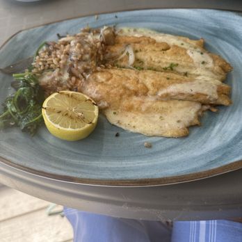 Beach House Waterfront Restaurant - Lemon chive Bronzino - American Near Me - Bradenton Beach, Florida