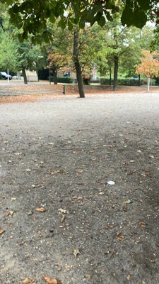 Petřín Gardens by null