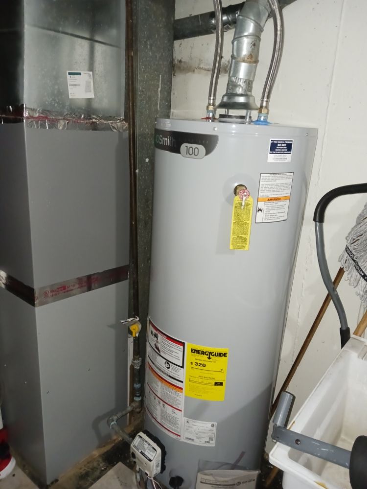 Slide of Jenalia Mechanical