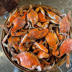 KOOL Ice & Seafood