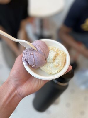 Jeni's Splendid Ice Creams by null