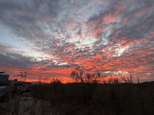 Gilbert Ray Campground by null
