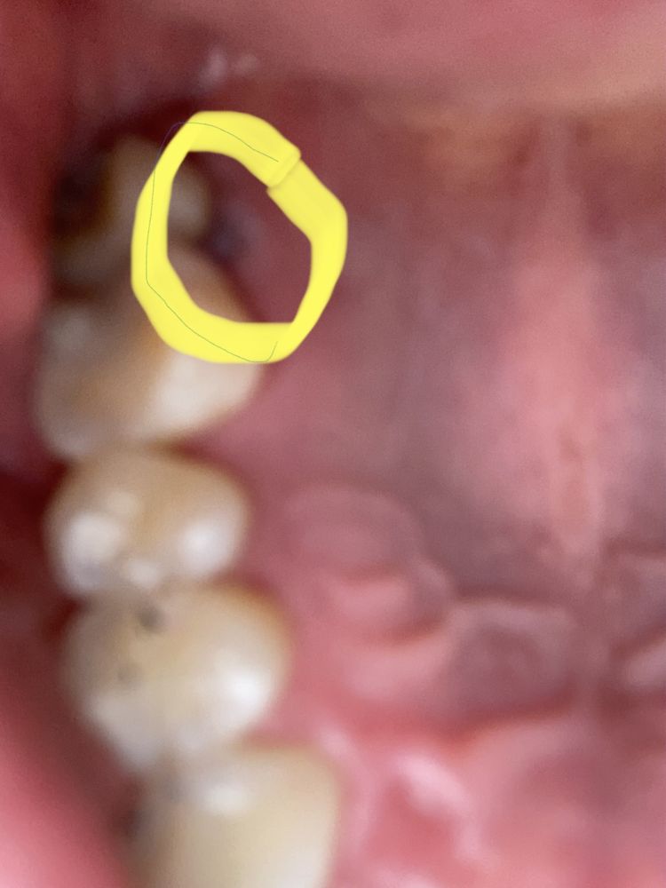 OAKLAND ECO DENTAL Updated August 2024 16 Photos & 159 Reviews