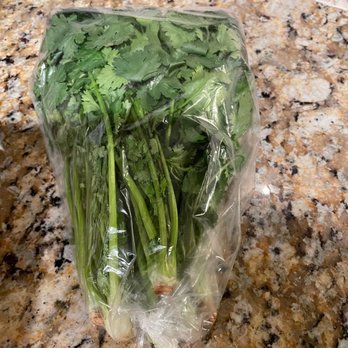 Bg Asian Grocery - Fresh Cilantro - Specialty Food Near Me - Deerfield Beach, Florida Bg Asian Grocery - Fresh Cilantro - Specialty Food Near Me - Deerfield Beach, Florida