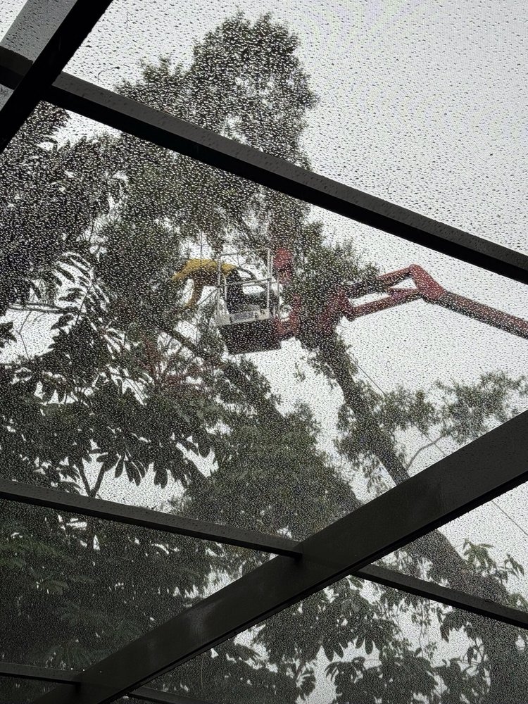 Jesse Scotts Tree Service - tree service in Orlando, FL