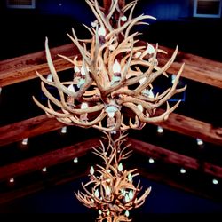 These 8-pointer chandeliers might be our favorite thing in the store!
