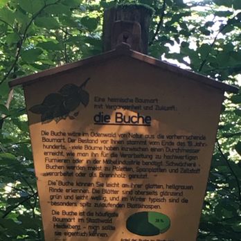 Königstuhl - Information on the Nature Trail #YelpTravel16 - Landmarks & Historical Buildings Near Me - Königstuhl, BW