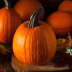 Seasonal Farms