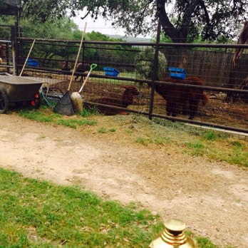 Austin Zoo - Zoos Near Me - Austin, Texas