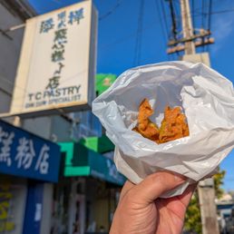 spicy wontons spicy wontons