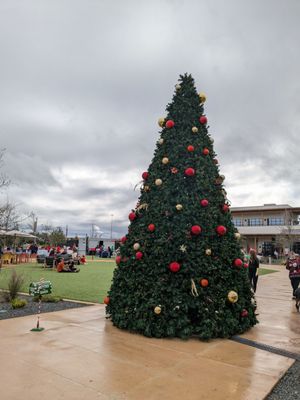The Rock at La Cantera by null