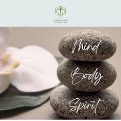 Harmony Point Acupuncture - Mind, Body, Spirt pet rocks.