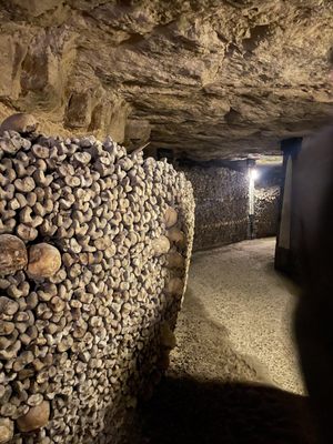 Catacombs of Paris by null